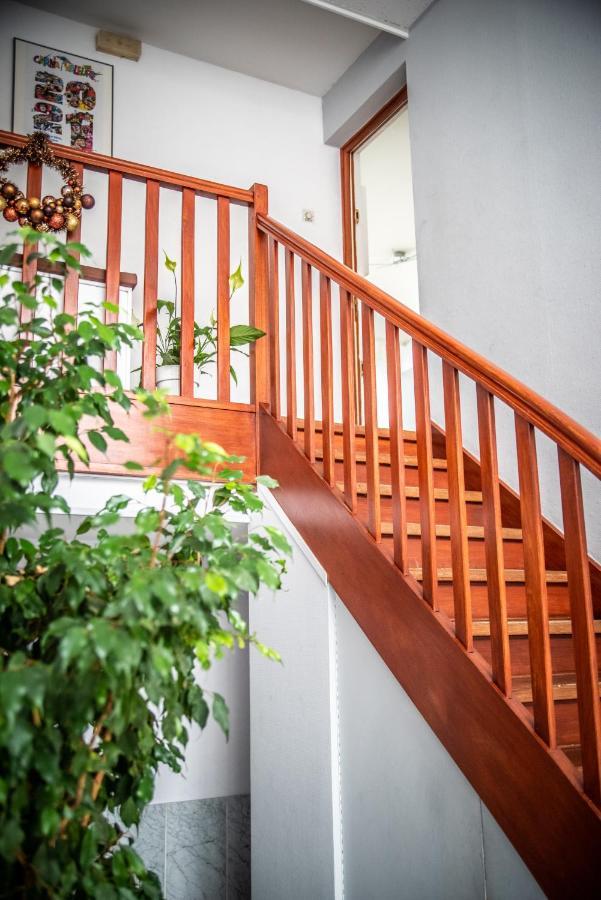Apartment Type 3 Entierement Renove Vue Pleine